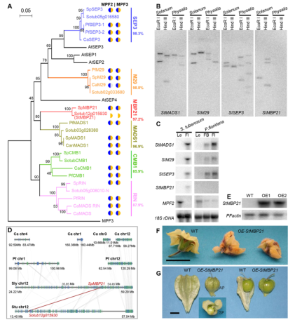 1658920705495718.png 7.png